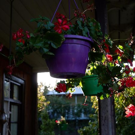 Martvili Guest House Oasis Exterior photo