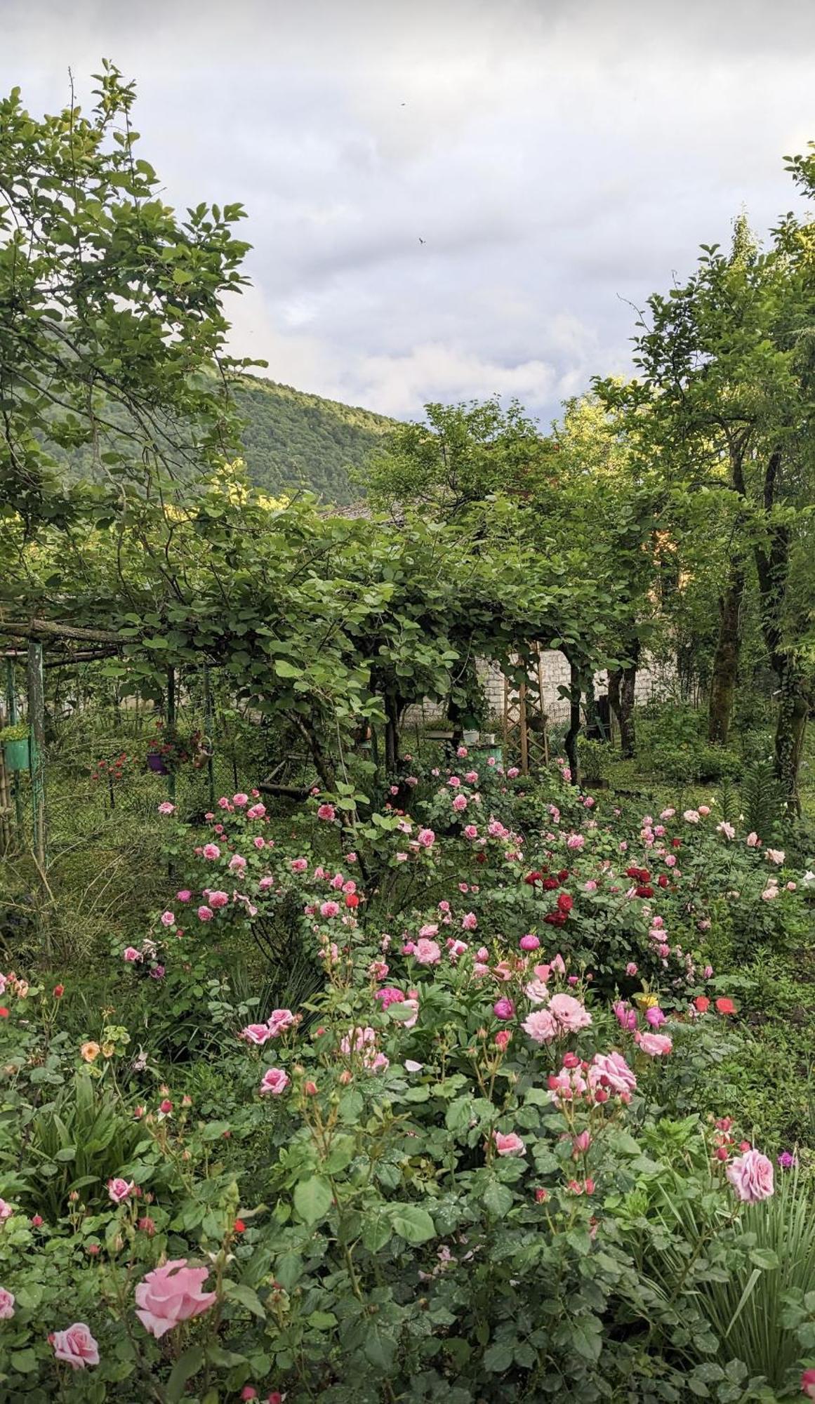 Martvili Guest House Oasis Exterior photo