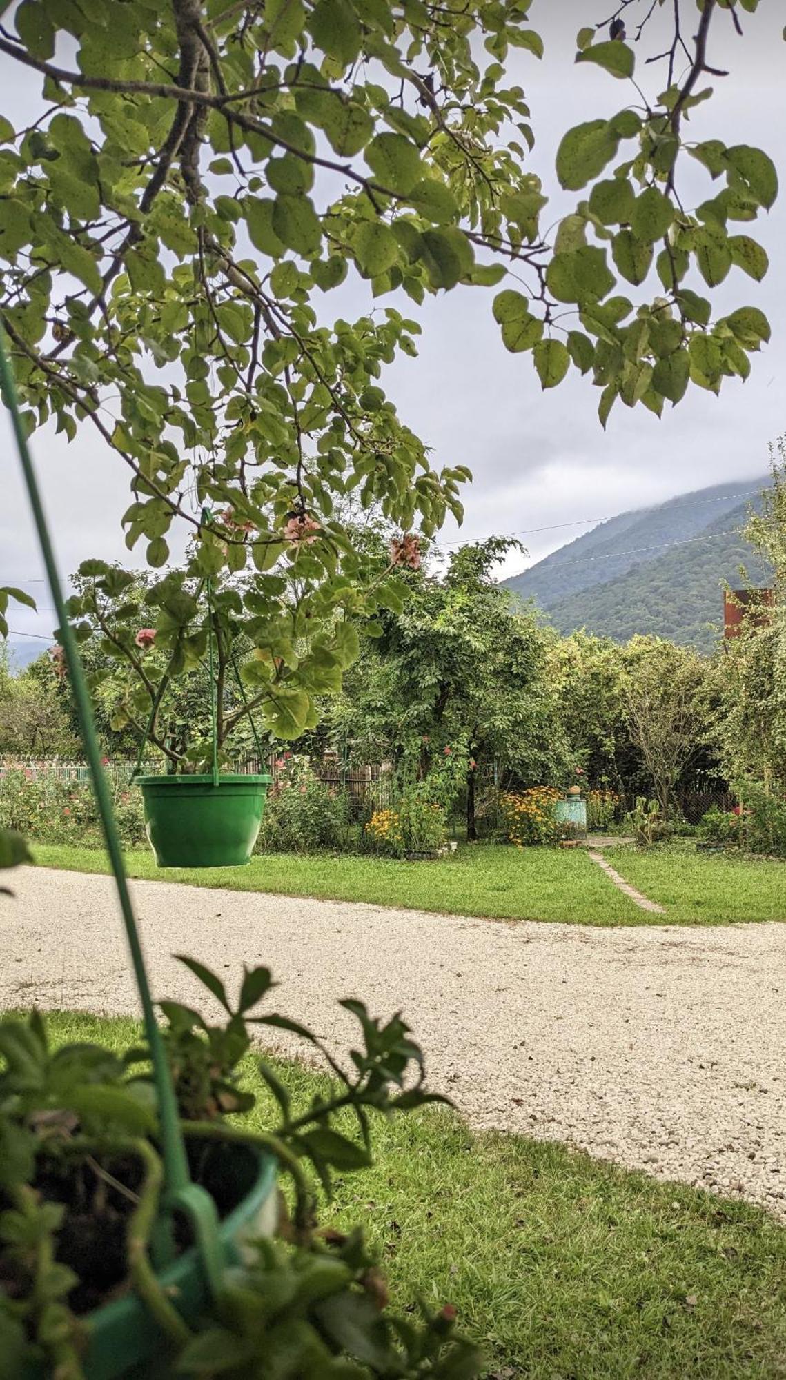 Martvili Guest House Oasis Exterior photo