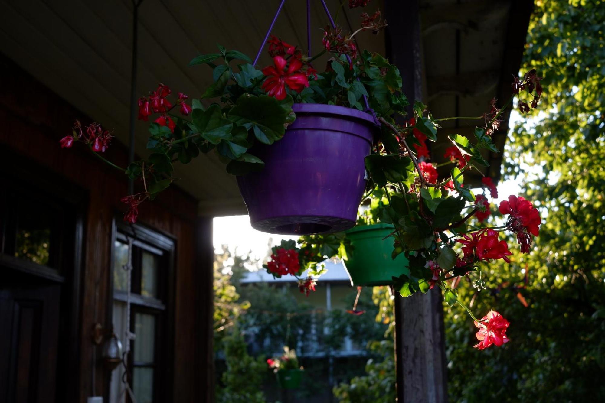 Martvili Guest House Oasis Exterior photo