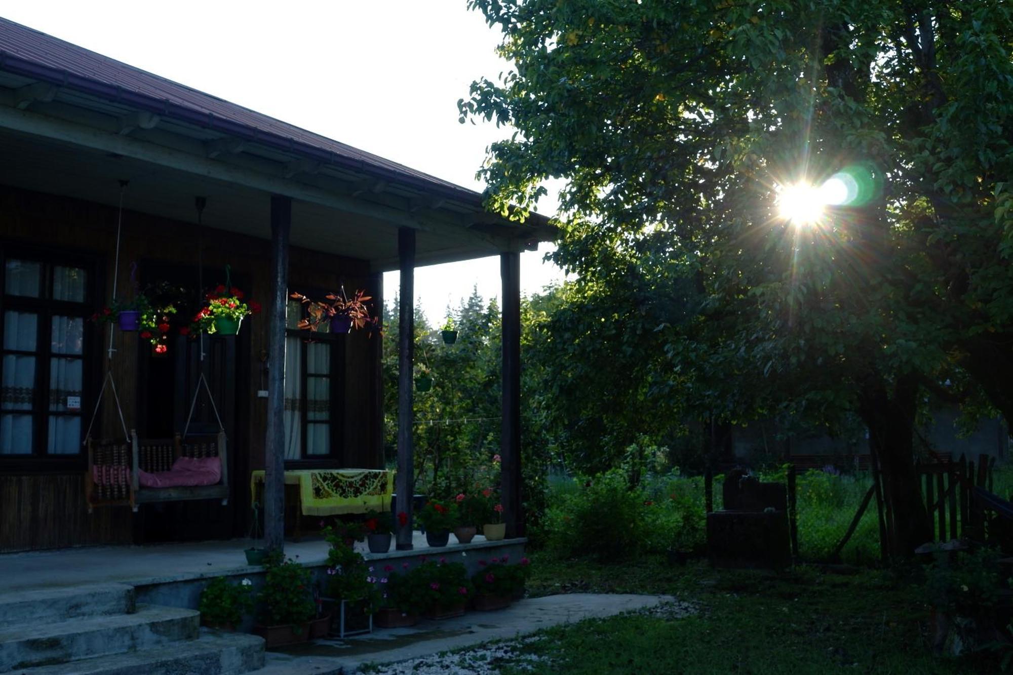 Martvili Guest House Oasis Exterior photo